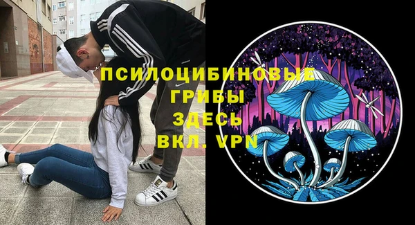 крисы Нягань