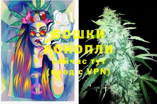 spice Няндома
