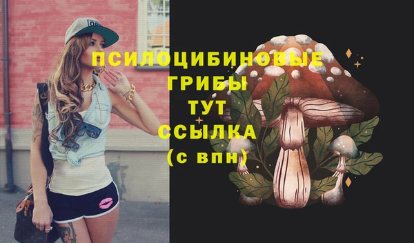 spice Няндома