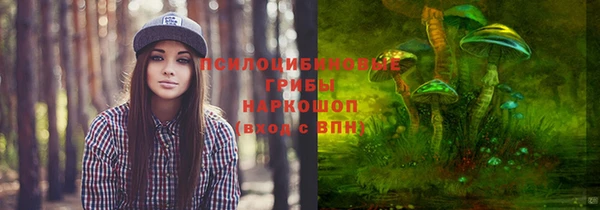 крисы Нягань