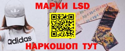 соль ск Новозыбков