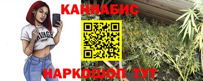 соль ск Новозыбков