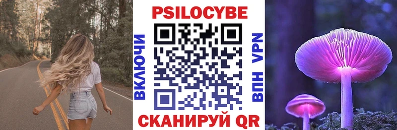 где найти наркотики Фурманов Галлюциногенные грибы Psilocybe