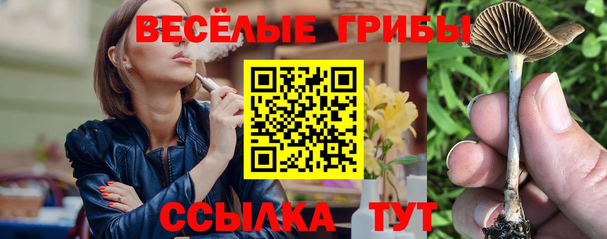 Псилоцибиновые грибы MAGIC MUSHROOMS  купить   Фурманов  Псилоцибиновые грибы MAGIC MUSHROOMS  Вход с VPN 